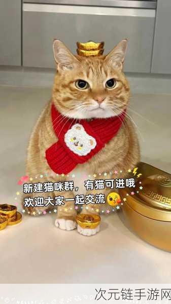 萌宠来袭！猫咪乐园手机版正式上线，快来领养你的专属喵星人