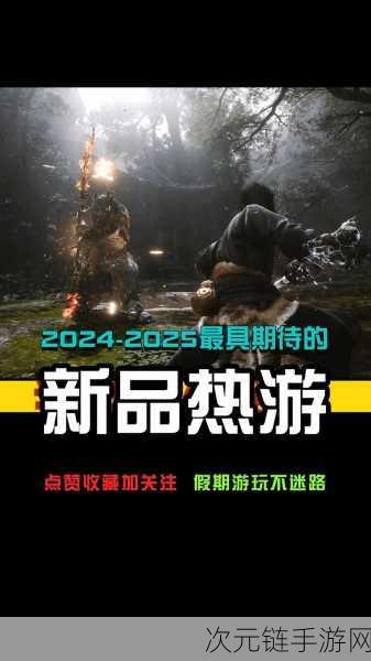 Steam平台2024年度免费游戏排行榜揭晓，热门佳作不容错过！