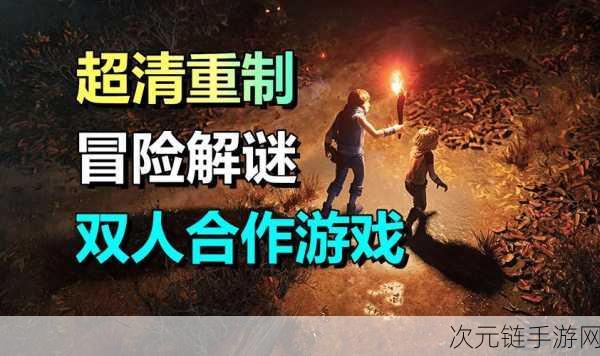 兄弟，双子传说第六章通关秘籍大揭秘