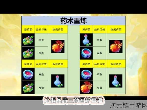 梦幻西游手游活力秘籍，深度解析重要性与获取之道