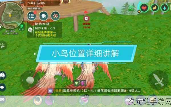 创造与魔法，云斑鹦鸟位置大揭秘，更新必刷点全掌握