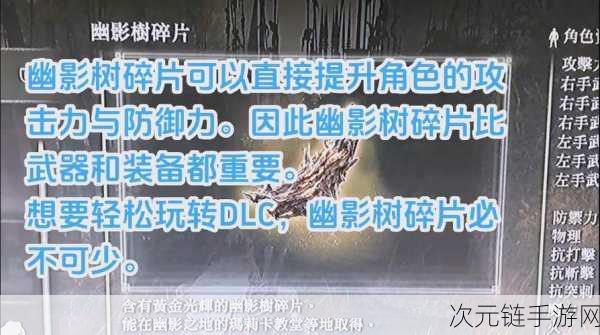 艾尔登法环DLC新揭秘，落叶格斗术获取攻略与实战技巧