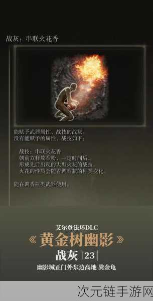 探秘艾尔登法环DLC，癫火之王挑战全解析