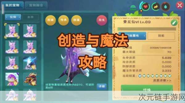 创造与魔法，姜的神秘获取之道与强大作用全解