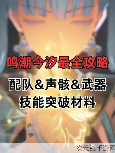 手游攻略，解锁鸣潮渊武声骸最强搭配策略