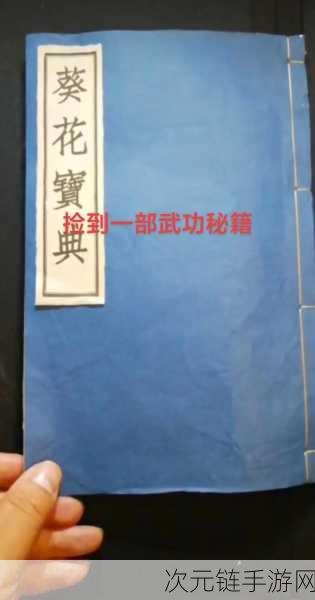 称霸放置江湖，武当派太极神功正气修炼秘籍