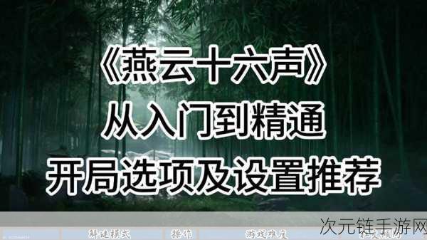 燕云十六声，动作与网游模式深度解析，操作模式推荐指南