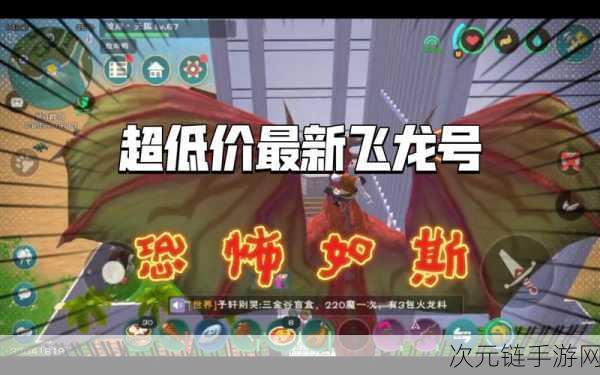 探秘创造与魔法，翼龙蛋孵化秘籍大公开