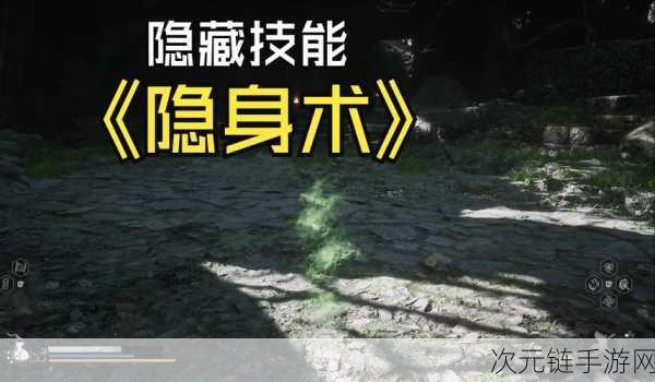 黑神话，悟空隐身蓄力流玩法深度剖析，打造无敌战斗艺术