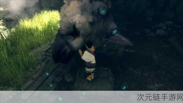 最后的守护者计划揭秘，PS4独占新游将实现极致模拟体验