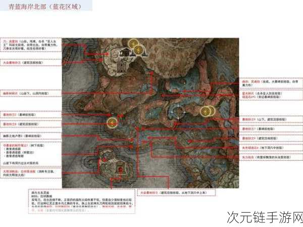 艾尔登法环DLC新武器揭秘，蕾拉娜双剑加点攻略大公开