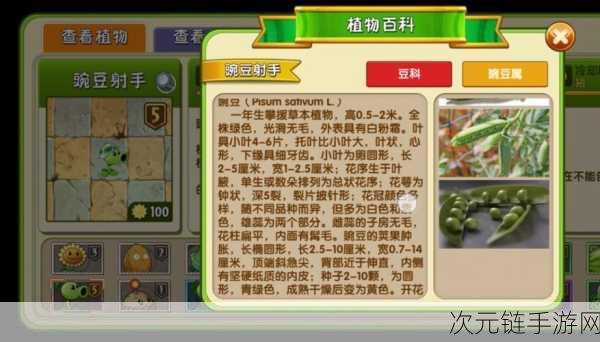 植物大战僵尸 2 中文版，挂件搭配秘籍大揭秘