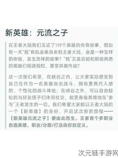 王者荣耀新英雄揭秘，元流之子性别自选，双职业技能闪耀峡谷