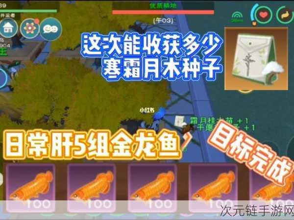 创造与魔法，金龙鱼垂钓秘籍大公开