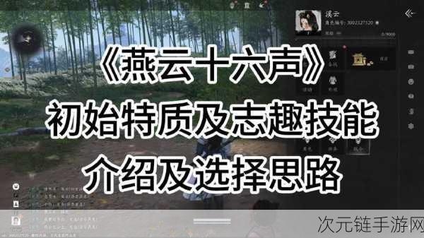 燕云十六声志趣选择全攻略，解锁独特技能，成就武林高手之路