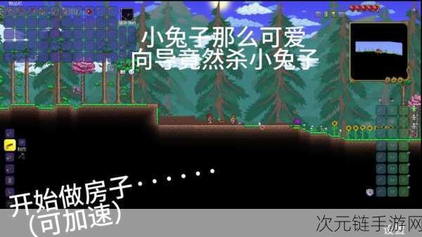 泰拉瑞亚手机版，兔子雕像产出之谜——兔子会掉蛋吗？