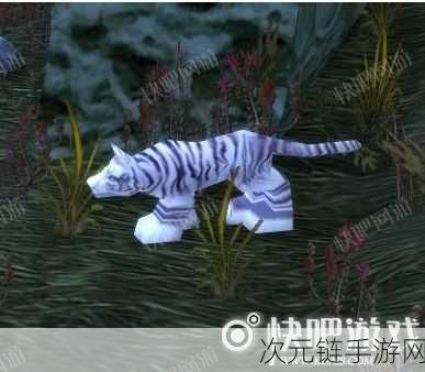 魔兽世界猎豹任务，巴尔瑟拉的牙齿，怪究竟藏在哪？