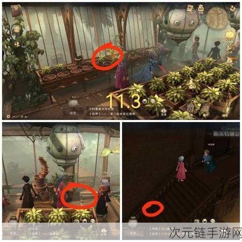 哈利波特魔法觉醒，植物拼图用途大揭秘