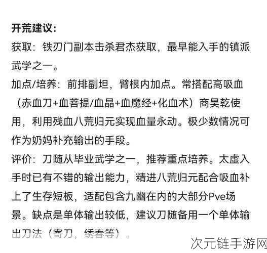 烟雨江湖，探秘幻影剑诀的最佳内功搭配秘籍