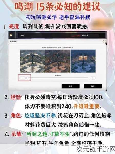 鸣潮手游深度攻略，揭秘复活药剂的独家制作秘籍