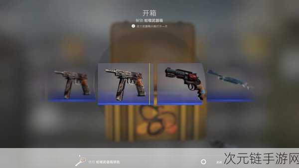 CSGO开箱大揭秘，性价比与CS2开箱网站精选指南