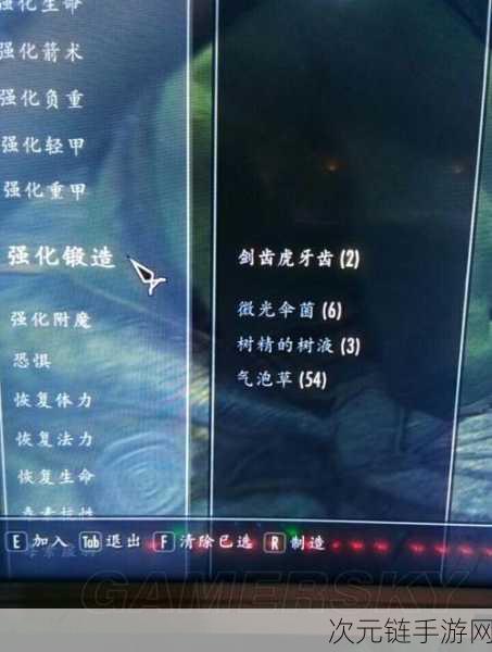 上古卷轴 5enb 挂 ESB 秘籍大揭秘