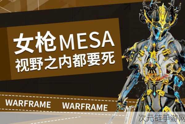 星际战甲新纪元，Warframe阴阳Mod扶她配卡深度解析