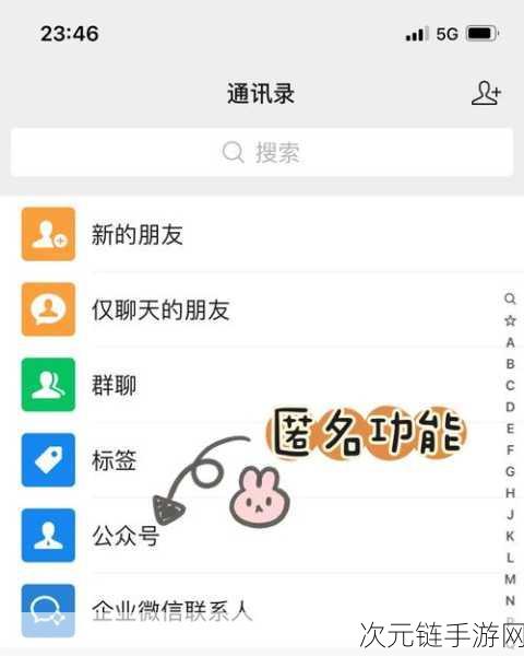 非匿名指令新手速成秘籍，解锁游戏高手的全方位攻略