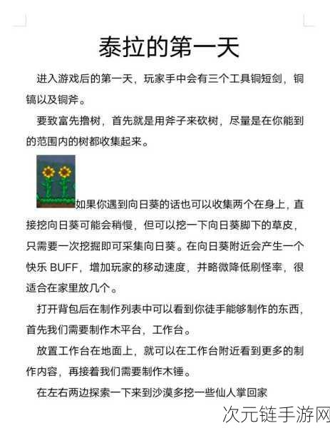 泰拉瑞亚，掌控复活点设置 重生无忧秘籍大公开