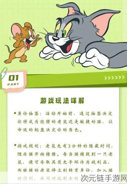 猫鼠大作战新手必知，多种模式玩法深度揭秘