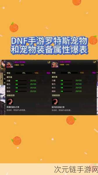 DNF 手游，起源罗特斯宠物巅峰对决，谁能称王？