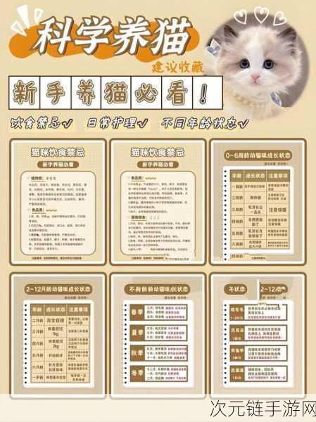 小森生活，领养萌喵秘籍，新手养猫必知